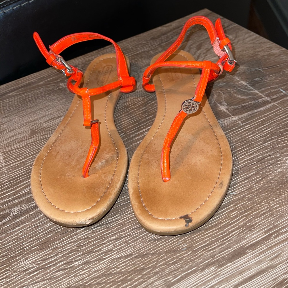 Coach Gladiator Sandals